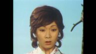 Super Heroine Collection スーパーヒロイン図鑑 アイドル編 1967～1992