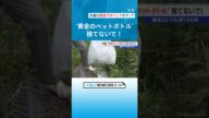 臭いも強烈「黄金のペットボトル」 中身は尿　1つのSＡで100本近くも　ドライバーのポイ捨て問題で一斉清掃 #チャント
