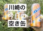川崎で黄金のペットボトルを掃除してみた/  Japanese trash  and empty can in Kawasaki