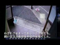 ペットのおしっこ問題　迷惑糞尿被害　犬、猫の糞尿対策　トラブル防止！モラルを守りましょう！