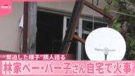 【「火事!火事」】助けを求めるパー子さん 林家ぺー・パー子さん自宅で… “緊迫した様子”を隣人語る