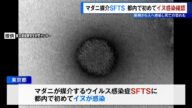 マダニ媒介「SFTS」東京都内で初めてイヌへの感染を確認　動物から人へ感染し死亡の恐れも