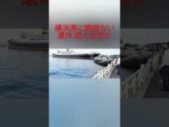 横浜港に頭部ない遺体 成人女性か