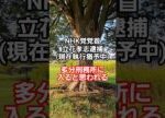 NHK党立花孝志は刑務所に入ると思われる