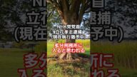 NHK党立花孝志は刑務所に入ると思われる