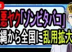 【ゾンビタバコ】フェンタニルよりヤバい…若者の間で新しいヤクが蔓延している件を調べたら真相が闇すぎた【かなえ先生解説】
