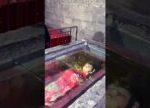 Sleeping Beauty Empress Tomb #qingdynasty #chinatravel #shorts