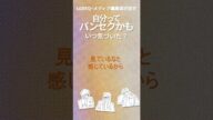 今回はパンセクシュアルだと気付いた瞬間／パンセクシュアルである自分がモヤモヤした経験を皆様から募集し、ご紹介しています！ #セクシュアリティ