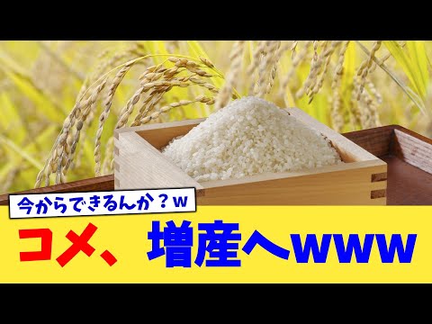 コメ、増産へwww【2chまとめ】【2chスレ】【5chスレ】