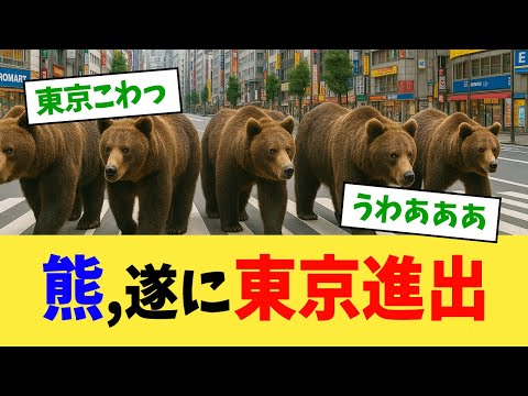 熊、遂に東京進出【2chまとめ】【2chスレ】【5chスレ】