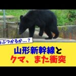 山形新幹線とクマ、また衝突【2chまとめ】【2chスレ】【5chスレ】