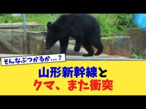 山形新幹線とクマ、また衝突【2chまとめ】【2chスレ】【5chスレ】