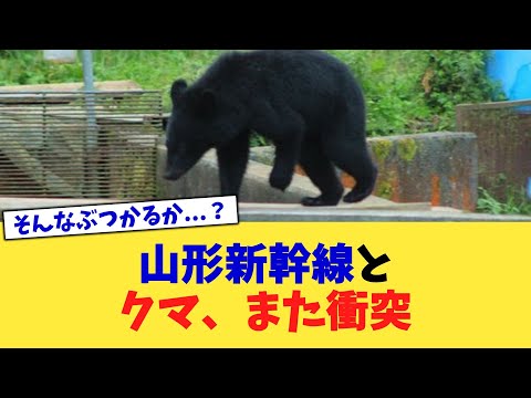 山形新幹線とクマ、また衝突【2chまとめ】【2chスレ】【5chスレ】