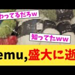 Temu,盛大に逝く【2chまとめ】【2chスレ】【5chスレ】