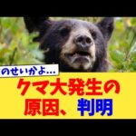 クマ大発生の原因、判明【2chまとめ】【2chスレ】【5chスレ】