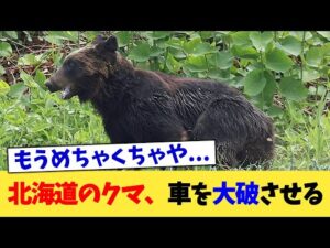 北海道のクマ、車を大破させる【2chまとめ】【2chスレ】【5chスレ】