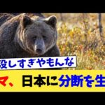 クマ、日本に分断を生む【2chまとめ】【2chスレ】【5chスレ】
