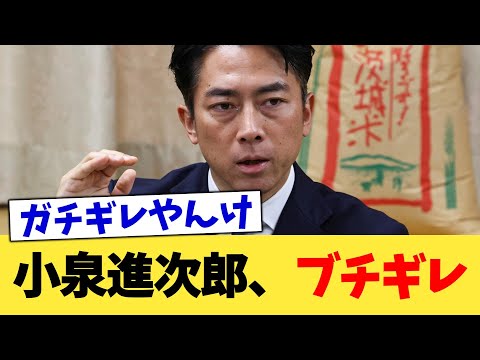 小泉進次郎、ブチギレ【2chまとめ】【2chスレ】【5chスレ】