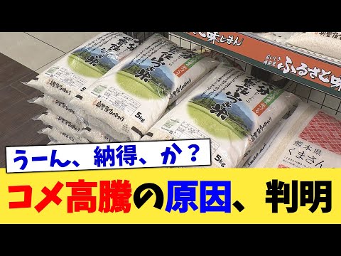 コメ高騰の原因、判明【2chまとめ】【2chスレ】【5chスレ】