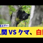 人é VS ã¯ããçœç±ã2chãŸãšããã2chã¹ã¬ãã5chã¹ã¬ã