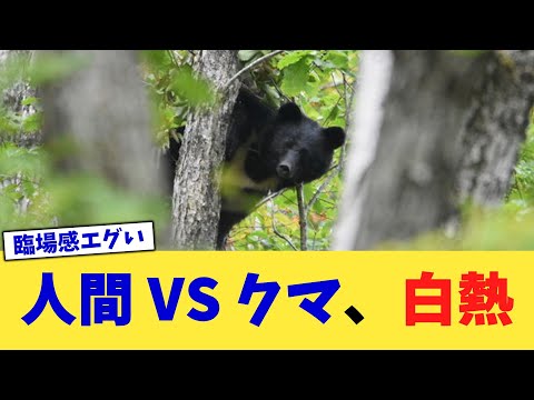 人間 VS クマ、白熱【2chまとめ】【2chスレ】【5chスレ】