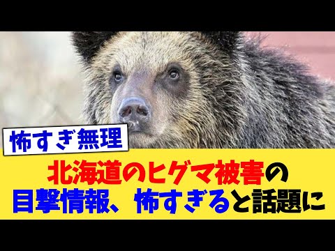 北海道のヒグマ被害の目撃情報、怖すぎると話題に【2chまとめ】【2chスレ】【5chスレ】