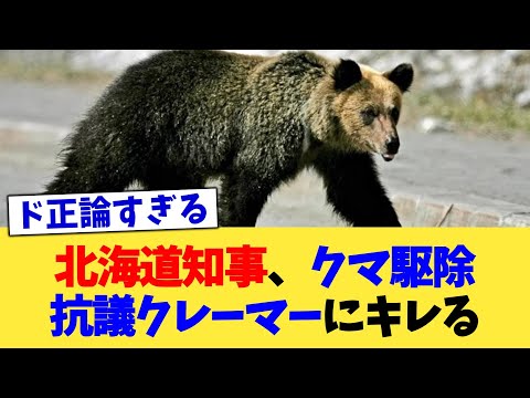 北海道知事、クマ駆除抗議クレーマーにキレる【2chまとめ】【2chスレ】【5chスレ】