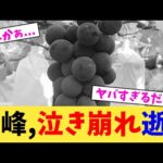 巨峰,泣き崩れ逝く【2chまとめ】【2chスレ】【5chスレ】