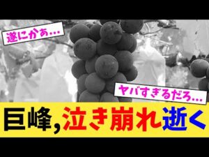 巨峰,泣き崩れ逝く【2chまとめ】【2chスレ】【5chスレ】