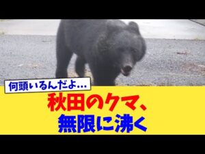 秋田のクマ、無限に沸く【2chまとめ】【2chスレ】【5chスレ】