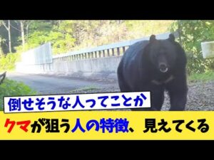 クマが狙う人の特徴、見えてくる【2chまとめ】【2chスレ】【5chスレ】