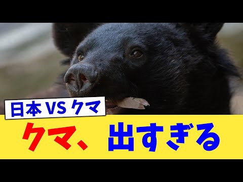 クマ、出すぎる【2chまとめ】【2chスレ】【5chスレ】