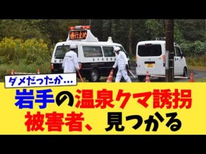 岩手の温泉クマ誘拐被害者、見つかる【2chまとめ】【2chスレ】【5chスレ】