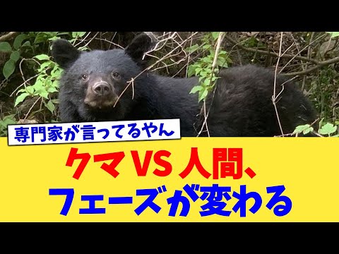 クマ VS 人間、フェーズが変わる【2chまとめ】【2chスレ】【5chスレ】
