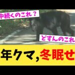 今年クマ,冬眠せず【2chまとめ】【2chスレ】【5chスレ】