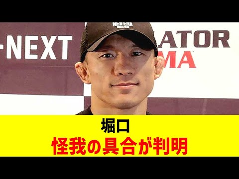 堀口 怪我の具合が判明【2chまとめ】【2chスレ】【5chスレ】