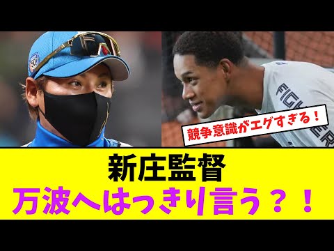 新庄監督、万波へはっきり言う?!【なんJなんG】【2ch5ch】