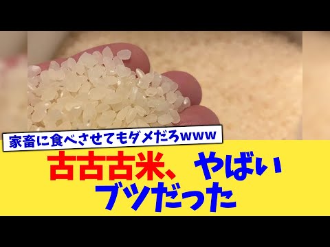 古古古米、やばいブツだった【2chまとめ】【2chスレ】【5chスレ】