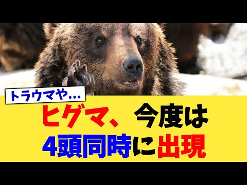 ヒグマ、今度は4頭同時に出現【2chまとめ】【2chスレ】【5chスレ】