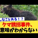 クマ誘拐事件、意味がわからない【2chまとめ】【2chスレ】【5chスレ】