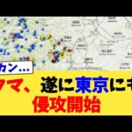 クマ、遂に東京にも侵攻開始【2chまとめ】【2chスレ】【5chスレ】