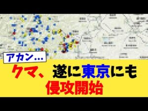 クマ、遂に東京にも侵攻開始【2chまとめ】【2chスレ】【5chスレ】
