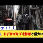 九州、ドデカゴキブリ急増で盛大に逝く【2chまとめ】【2chスレ】【5chスレ】