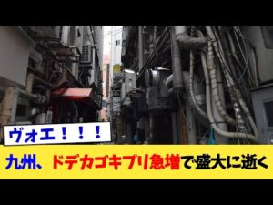 九州、ドデカゴキブリ急増で盛大に逝く【2chまとめ】【2chスレ】【5chスレ】