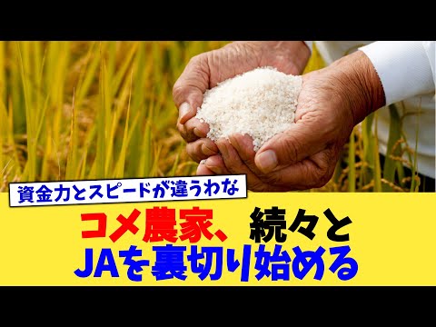 コメ農家、続々とJAを裏切り始める【2chまとめ】【2chスレ】【5chスレ】