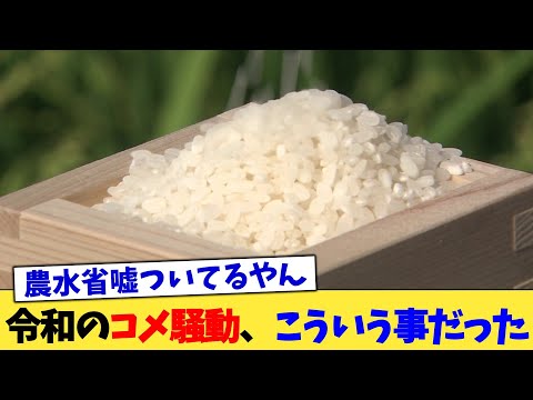 令和のコメ騒動、こういう事だった【2chまとめ】【2chスレ】【5chスレ】