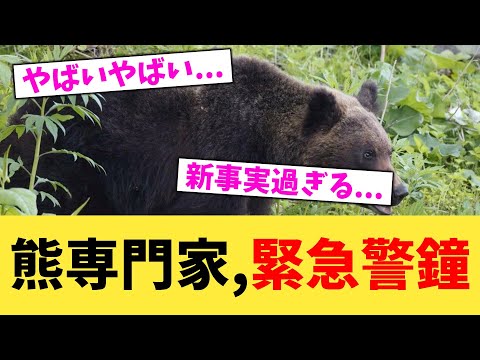熊専門家,緊急警鐘【2chまとめ】【2chスレ】【5chスレ】