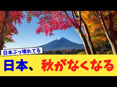 日本、秋がなくなる【2chまとめ】【2chスレ】【5chスレ】