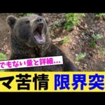 クマ苦情 限界突破【2chまとめ】【2chスレ】【5chスレ】