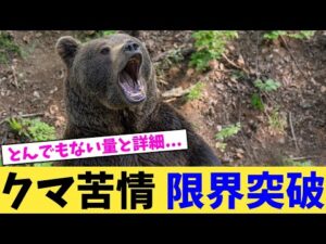クマ苦情 限界突破【2chまとめ】【2chスレ】【5chスレ】